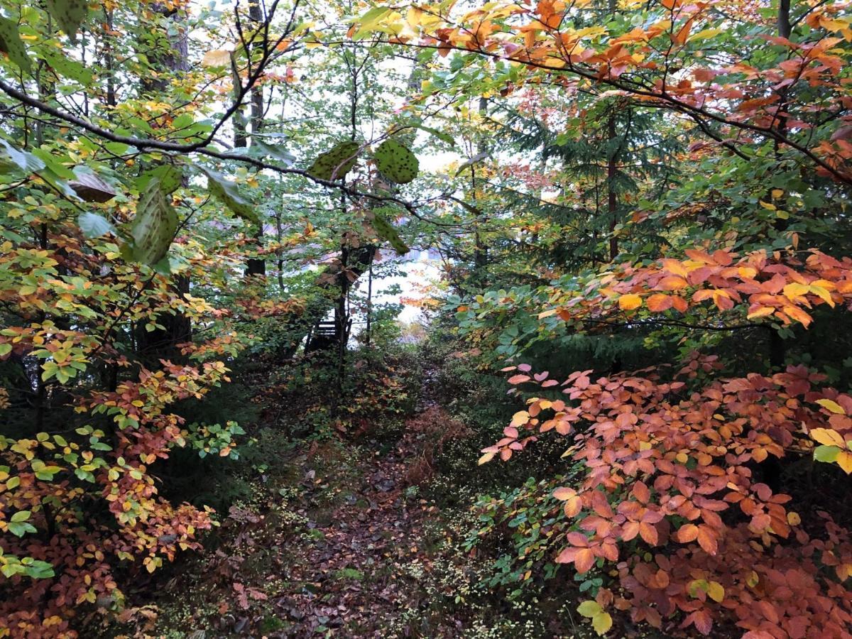 Naturskoent Boende Vid Sjoe Skånes Fagerhult Exteriér fotografie